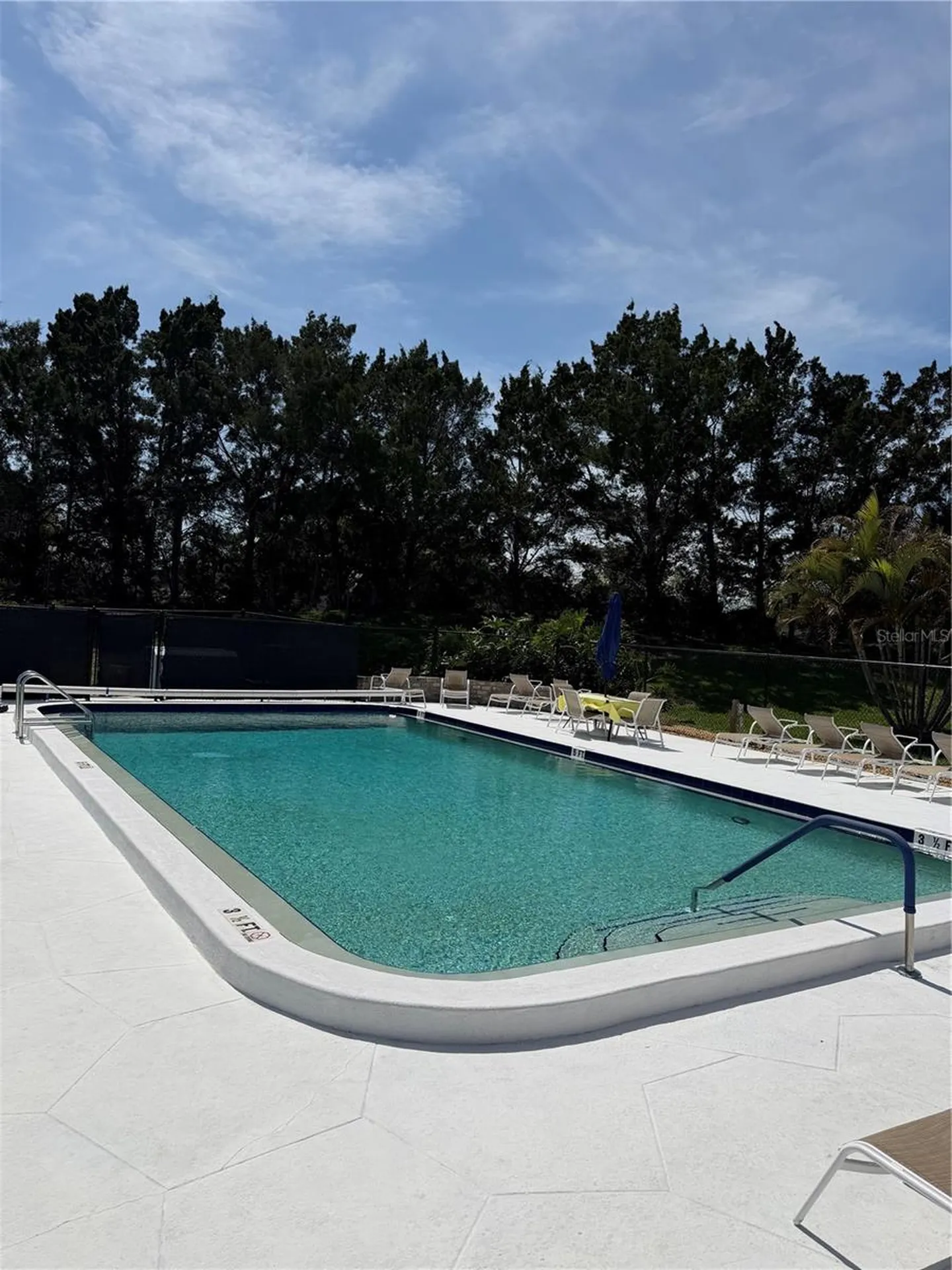 204 Windward Place Oldsmar FL 34677