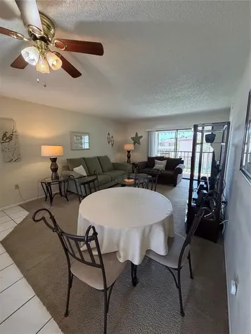 204 Windward Place Oldsmar FL 34677