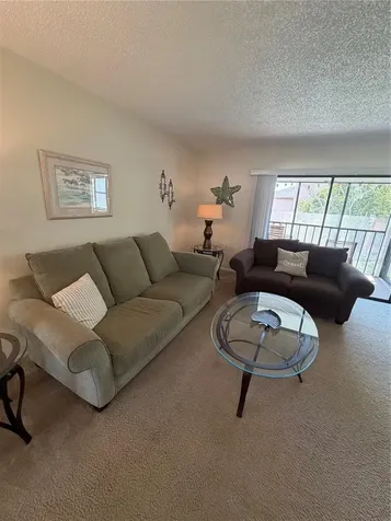 204 Windward Place Oldsmar FL 34677