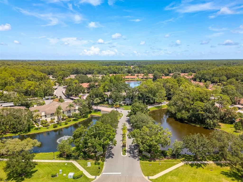 3960 Mermoor Drive Palm Harbor FL 34685