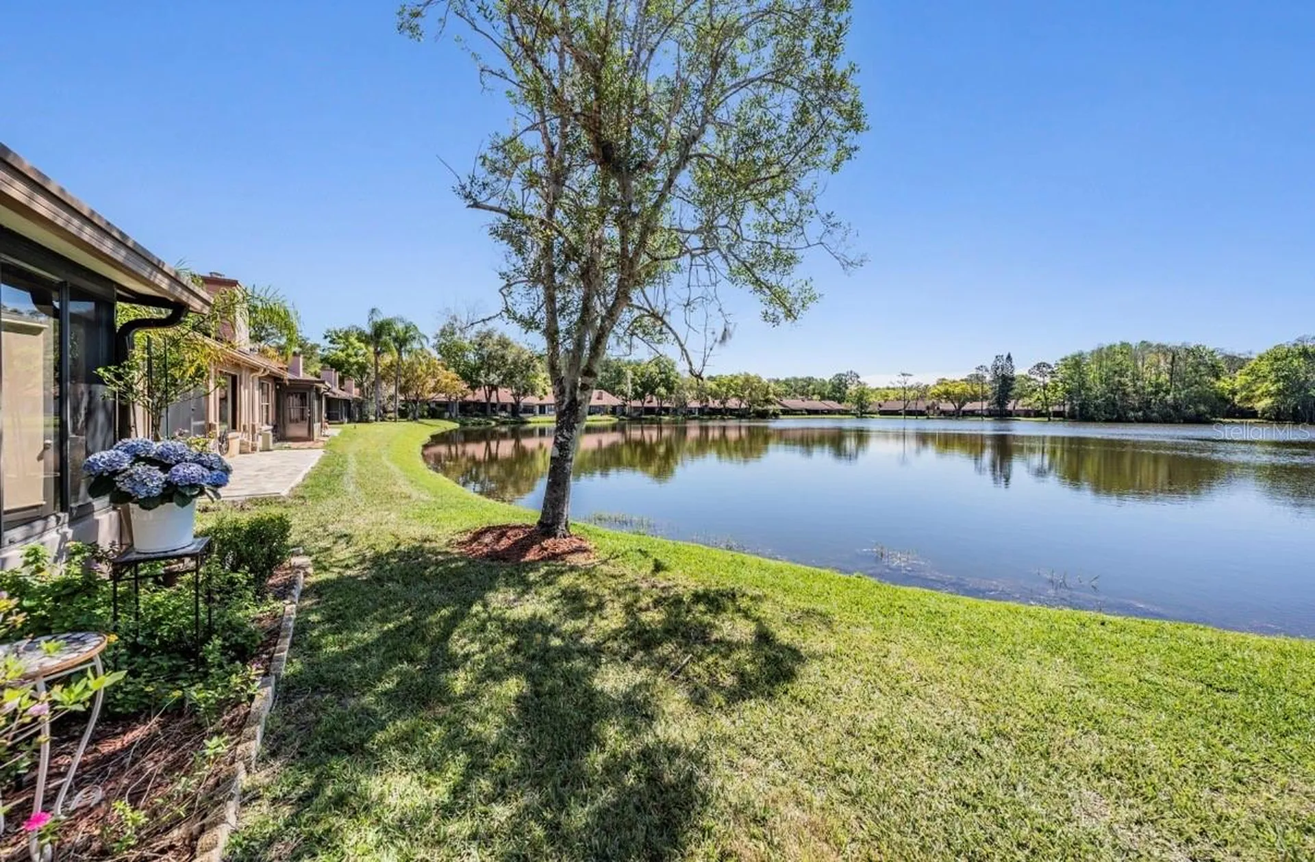 3960 Mermoor Drive Palm Harbor FL 34685