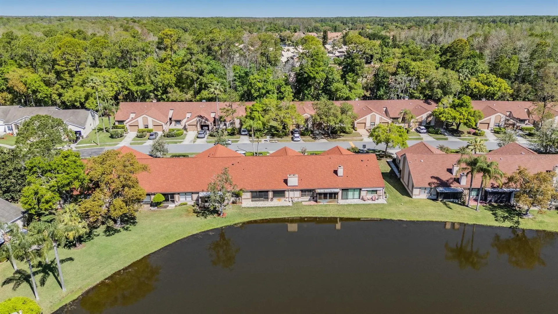 3960 Mermoor Drive Palm Harbor FL 34685