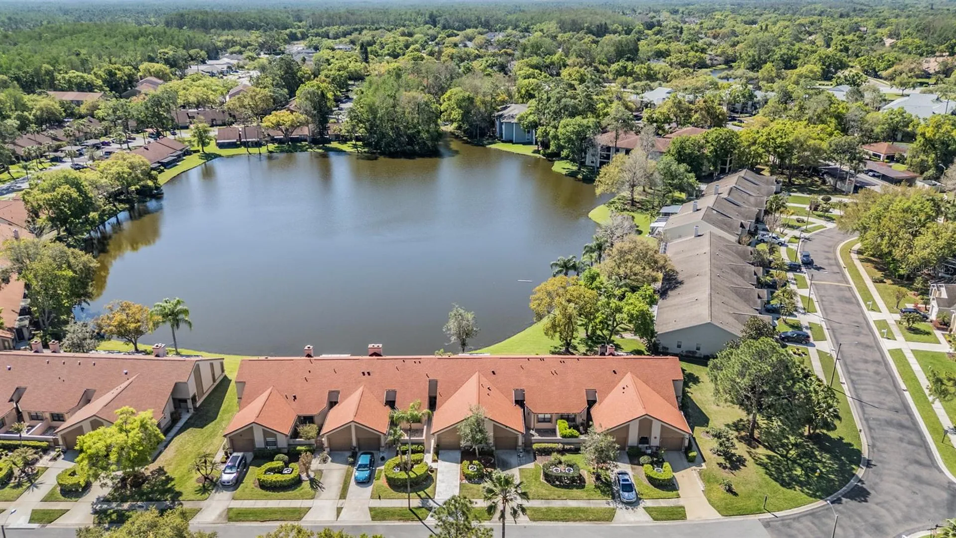 3960 Mermoor Drive Palm Harbor FL 34685