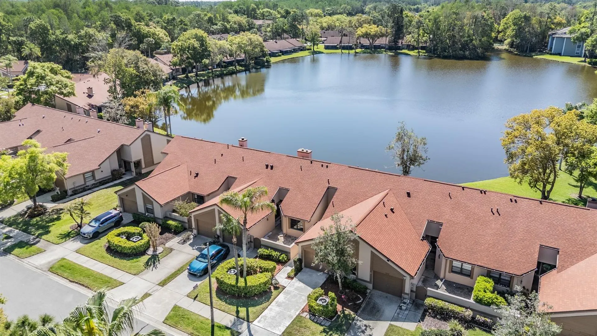 3960 Mermoor Drive Palm Harbor FL 34685