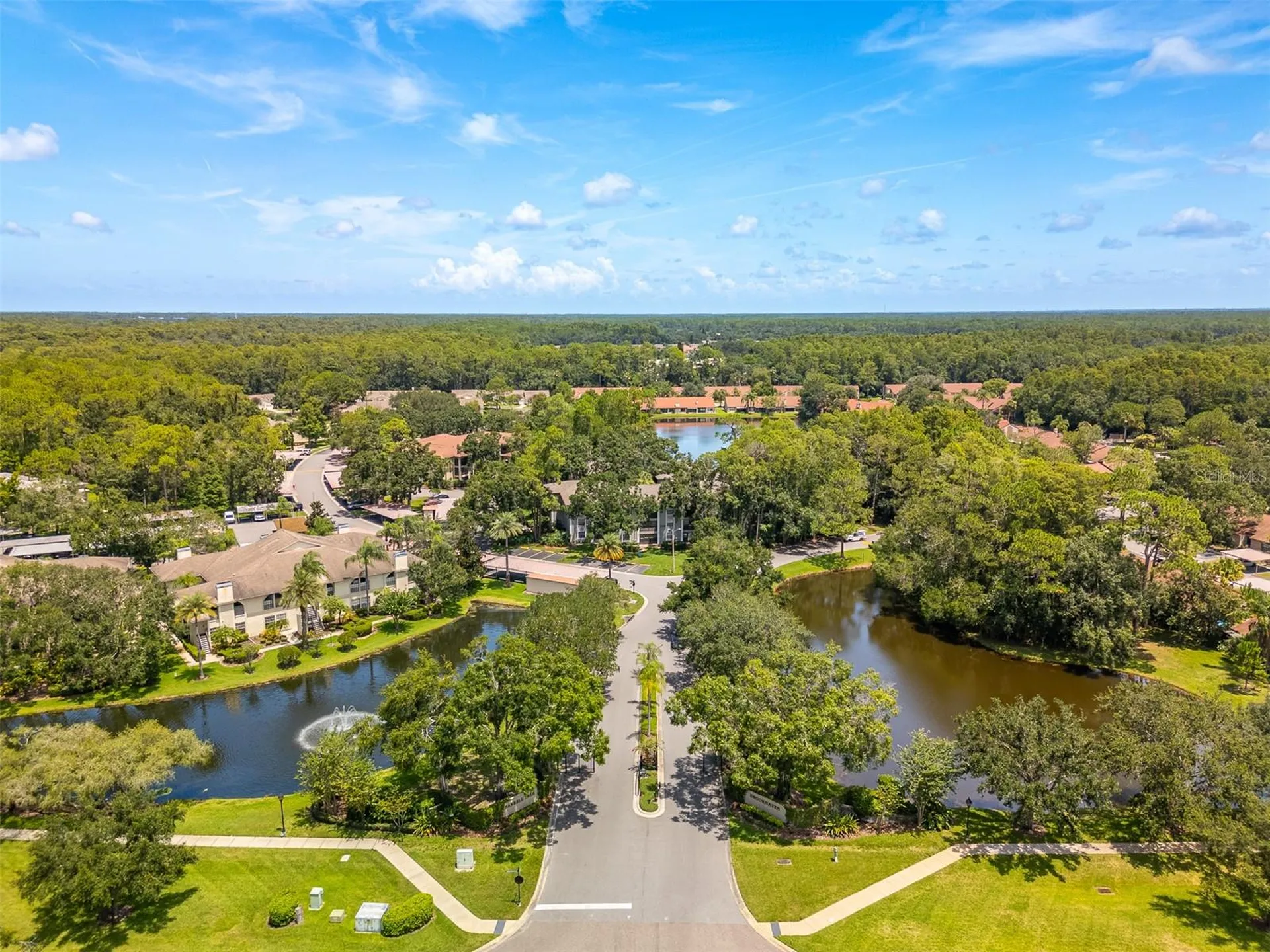 3960 Mermoor Drive Palm Harbor FL 34685