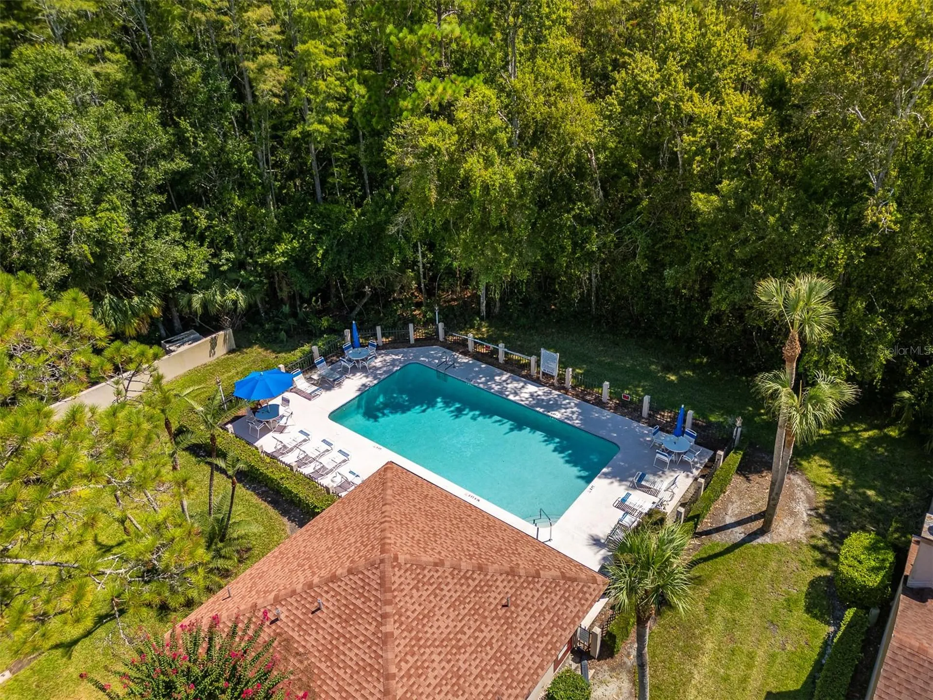3960 Mermoor Drive Palm Harbor FL 34685