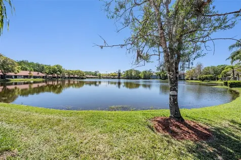 3960 Mermoor Drive Palm Harbor FL 34685