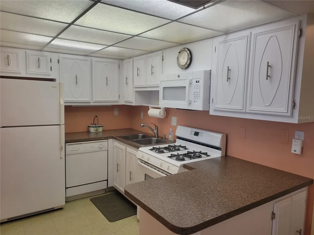 9950 62nd Terrace N St Petersburg FL 33708