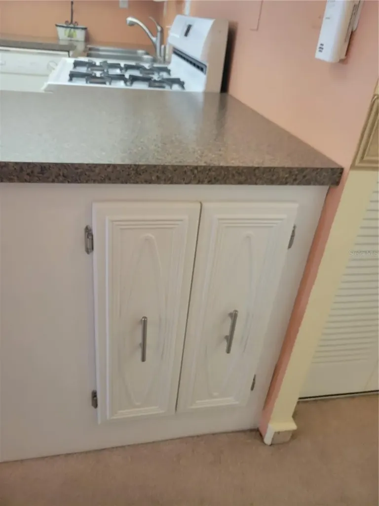 9950 62nd Terrace N St Petersburg FL 33708