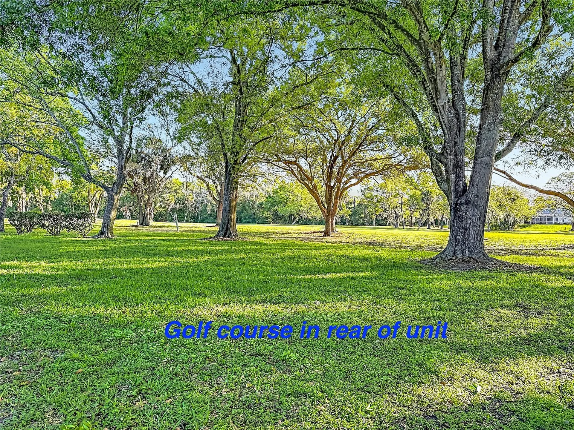 12820 Wedgewood Way Hudson FL 34667