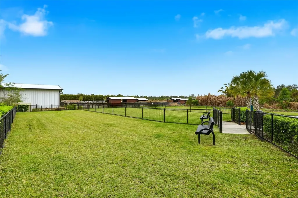 14354 Wabasso Loop Winter Garden FL 34787