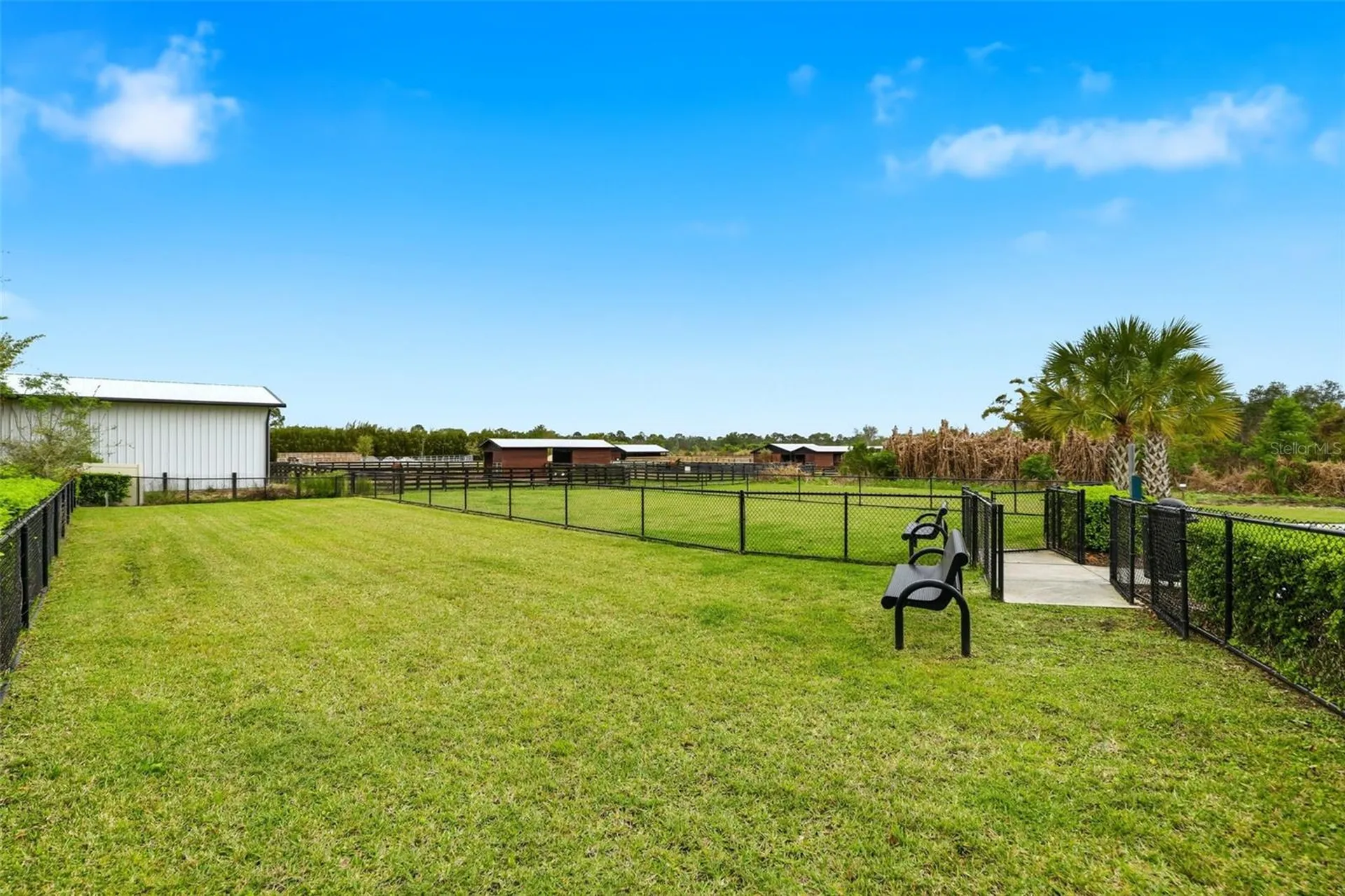 14354 Wabasso Loop Winter Garden FL 34787
