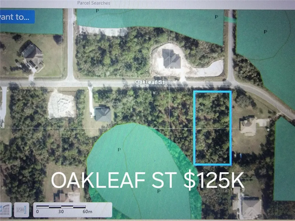 Oakleaf Street Orlando FL 32833