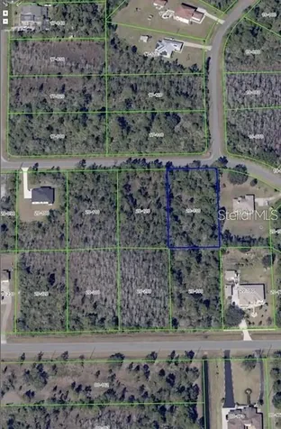 Oakleaf Street Orlando FL 32833