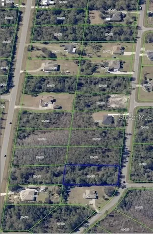 Oakleaf Street Orlando FL 32833