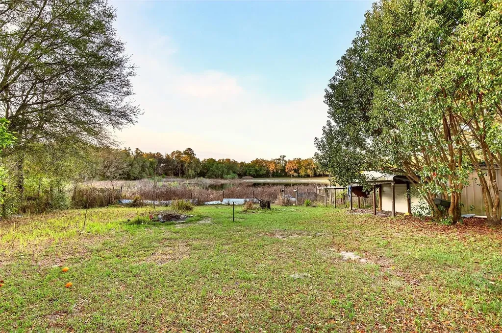 11065 NE 145th Lane Fort Mc Coy FL 32134