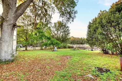 11065 NE 145th Lane Fort Mc Coy FL 32134