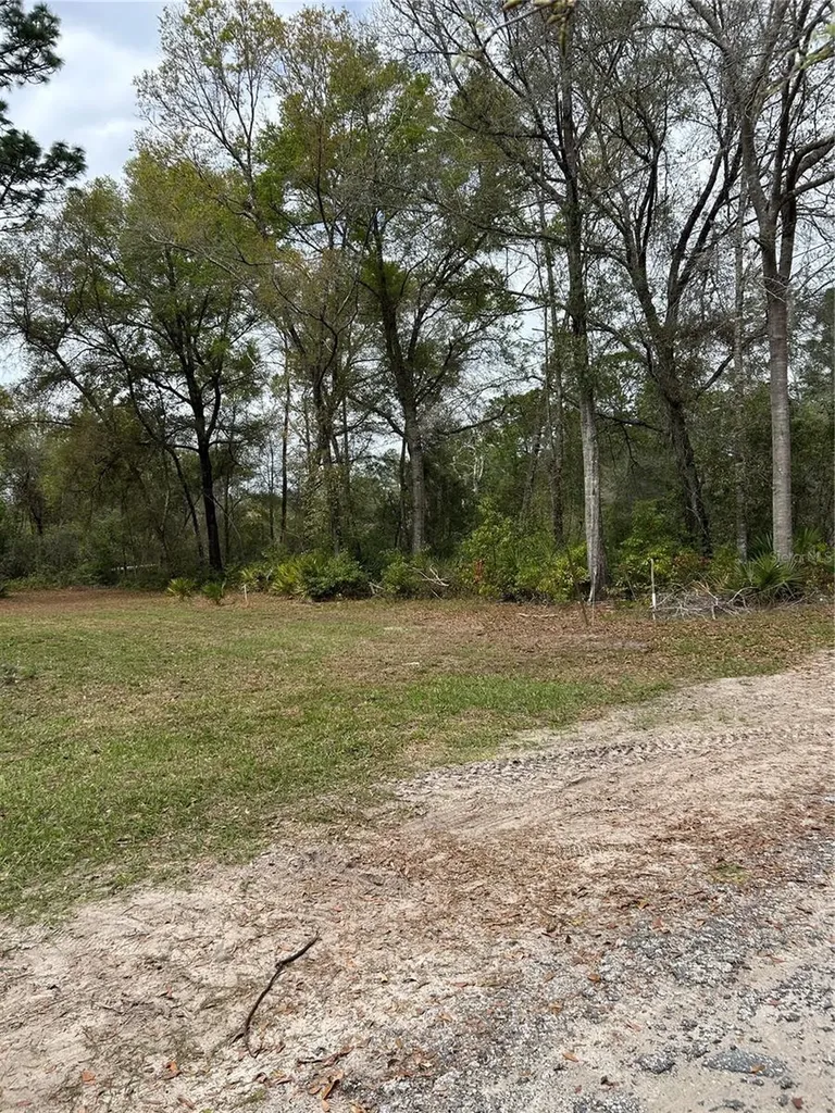 4TH Street Altoona FL 32702