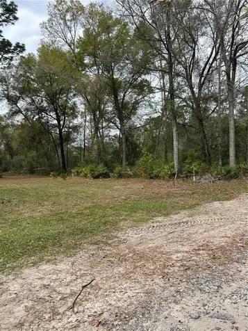 4TH Street Altoona FL 32702