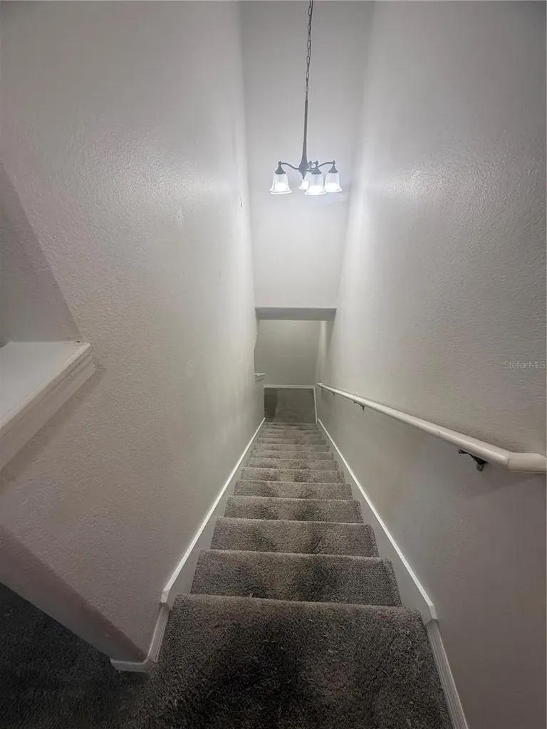 9749 Trumpet Vine Loop Trinity FL 34655