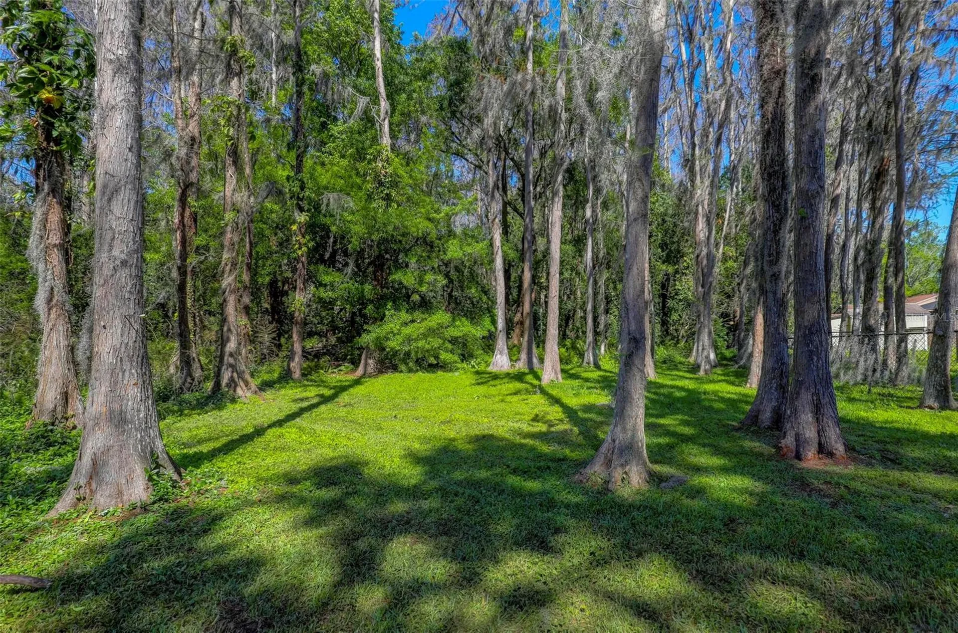 16206 Sagebrush Road Tampa FL 33618
