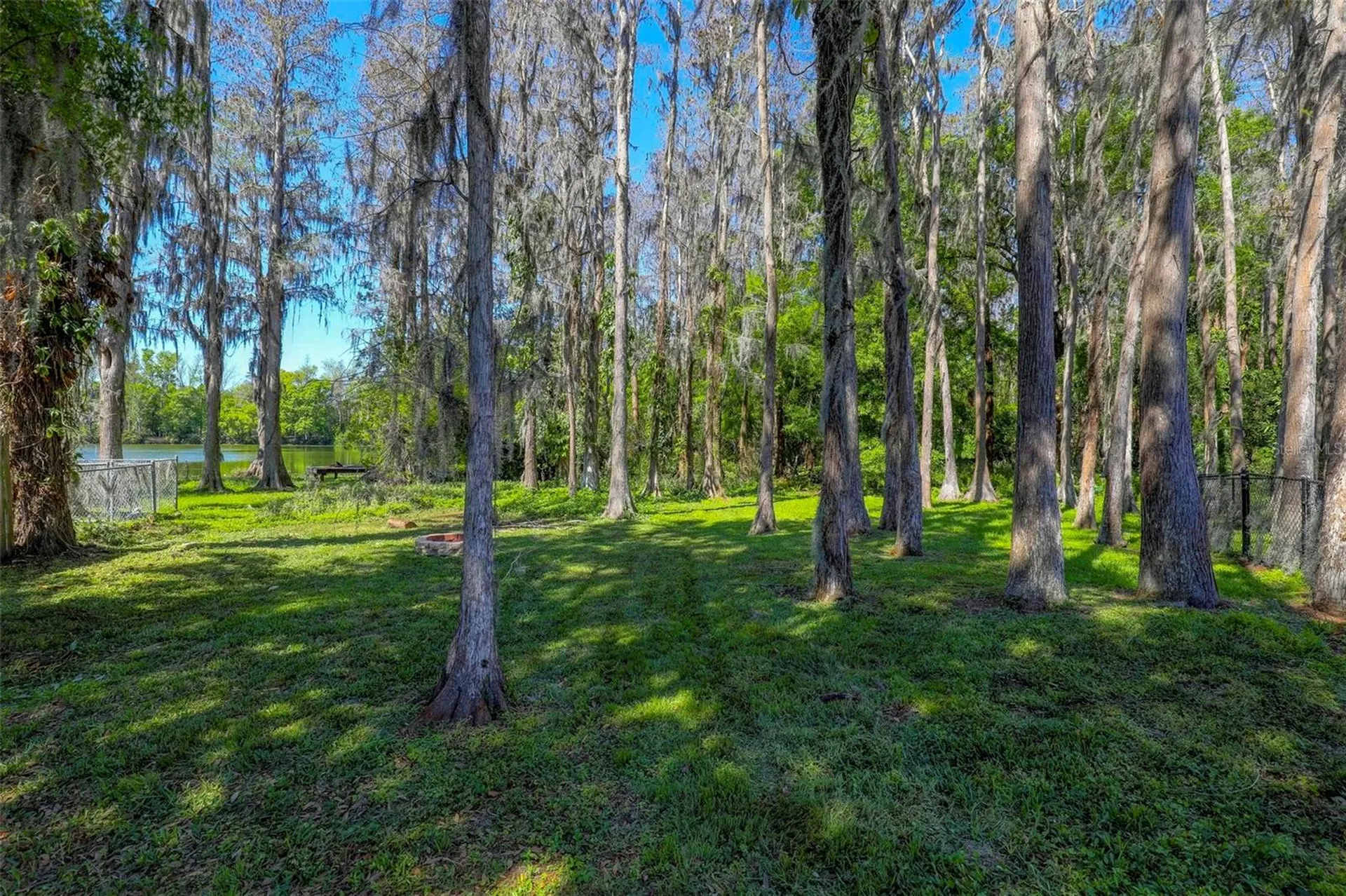 16206 Sagebrush Road Tampa FL 33618