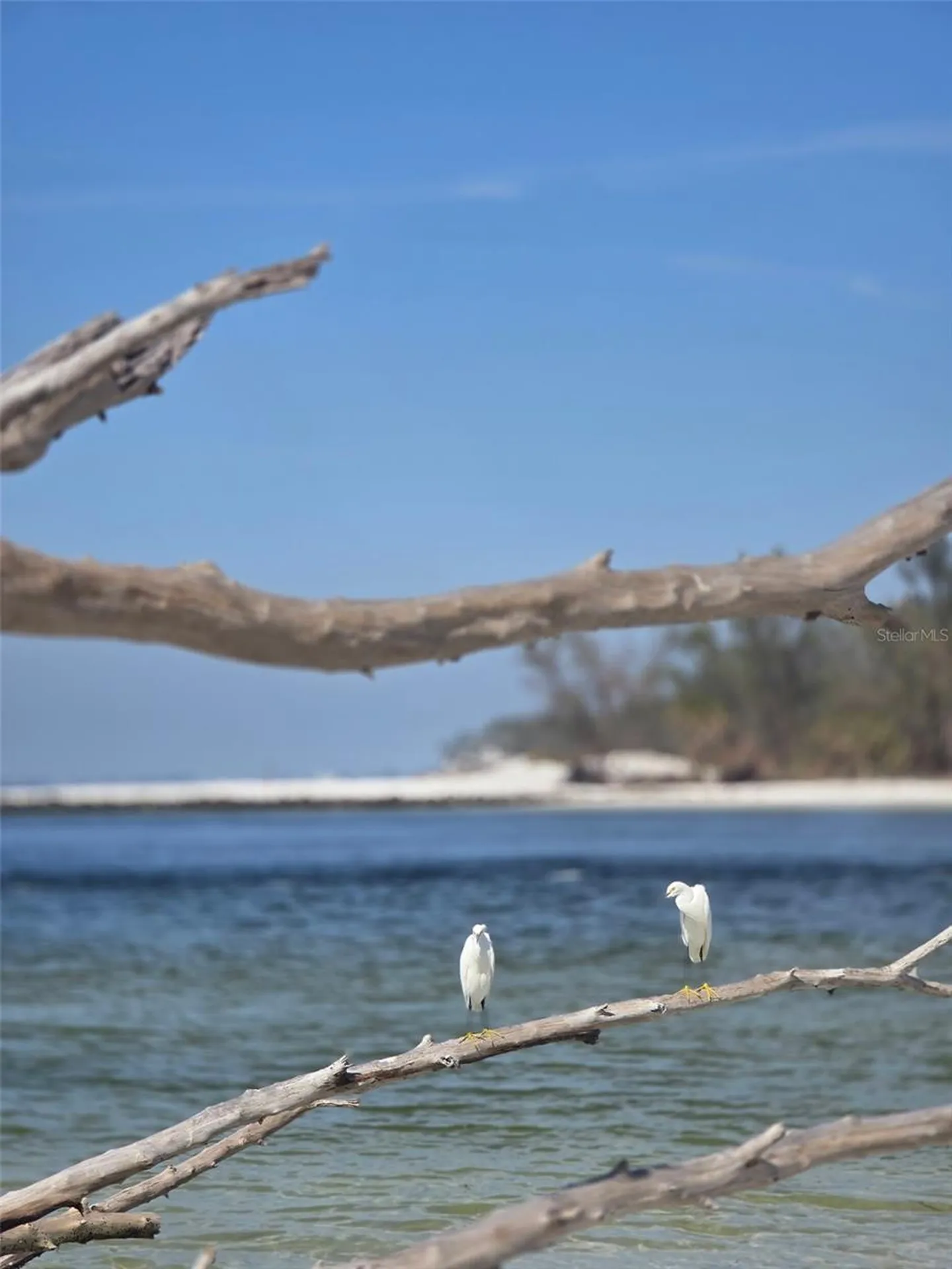 403 63rd Street Holmes Beach FL 34217