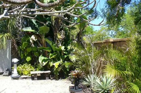 7801 34th Avenue N St Petersburg FL 33710