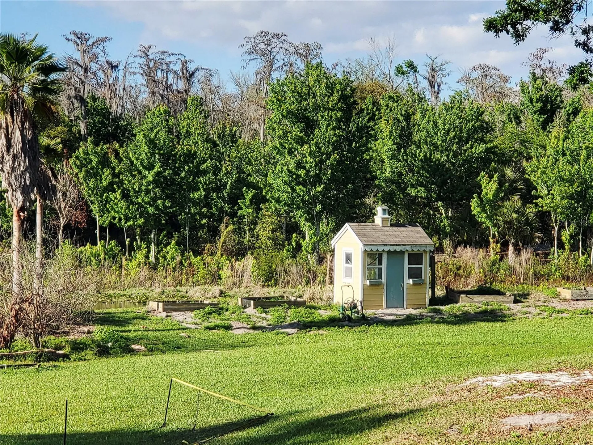 11807 Mintwood Court Orlando FL 32837