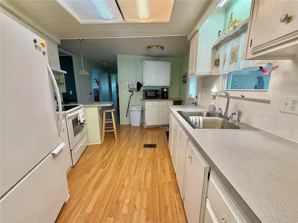 325 Palo Verde Drive Leesburg FL 34748