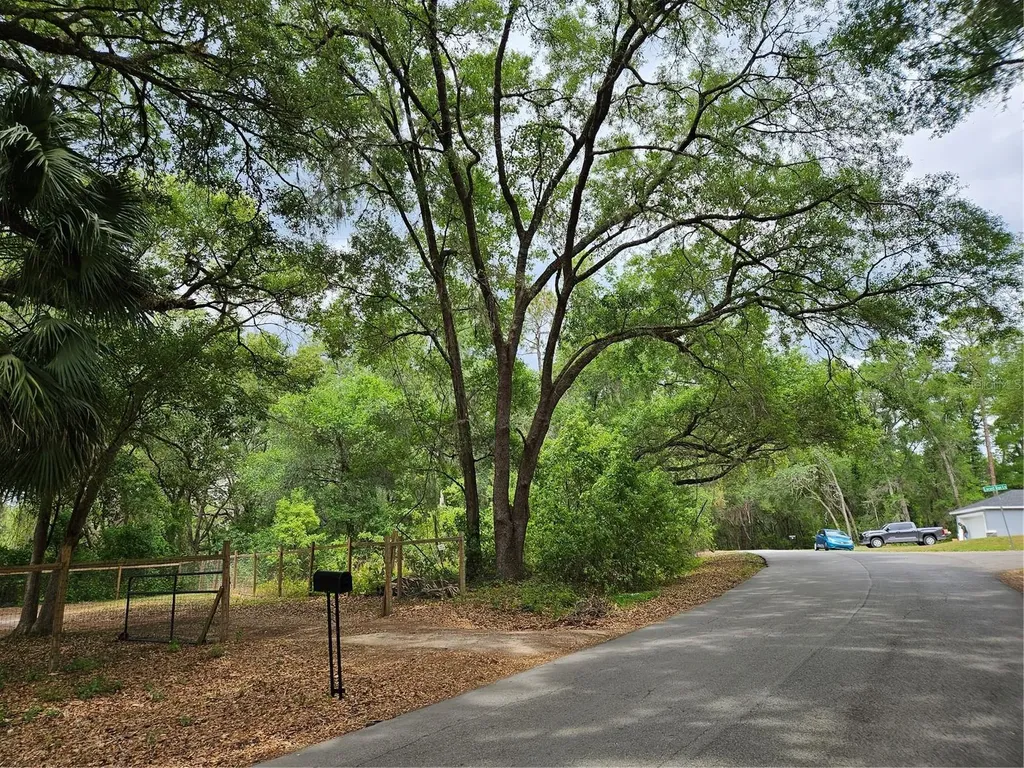 Lot 14 Locust Run Course Ocala FL 34472