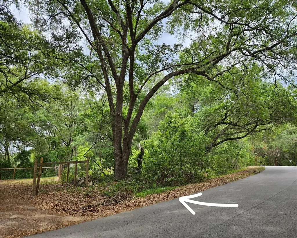 Lot 14 Locust Run Course Ocala FL 34472