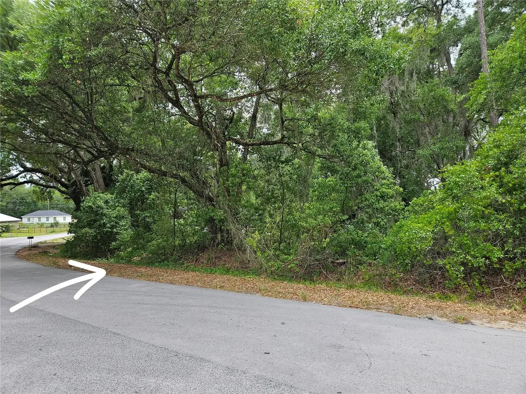 Lot 14 Locust Run Course Ocala FL 34472