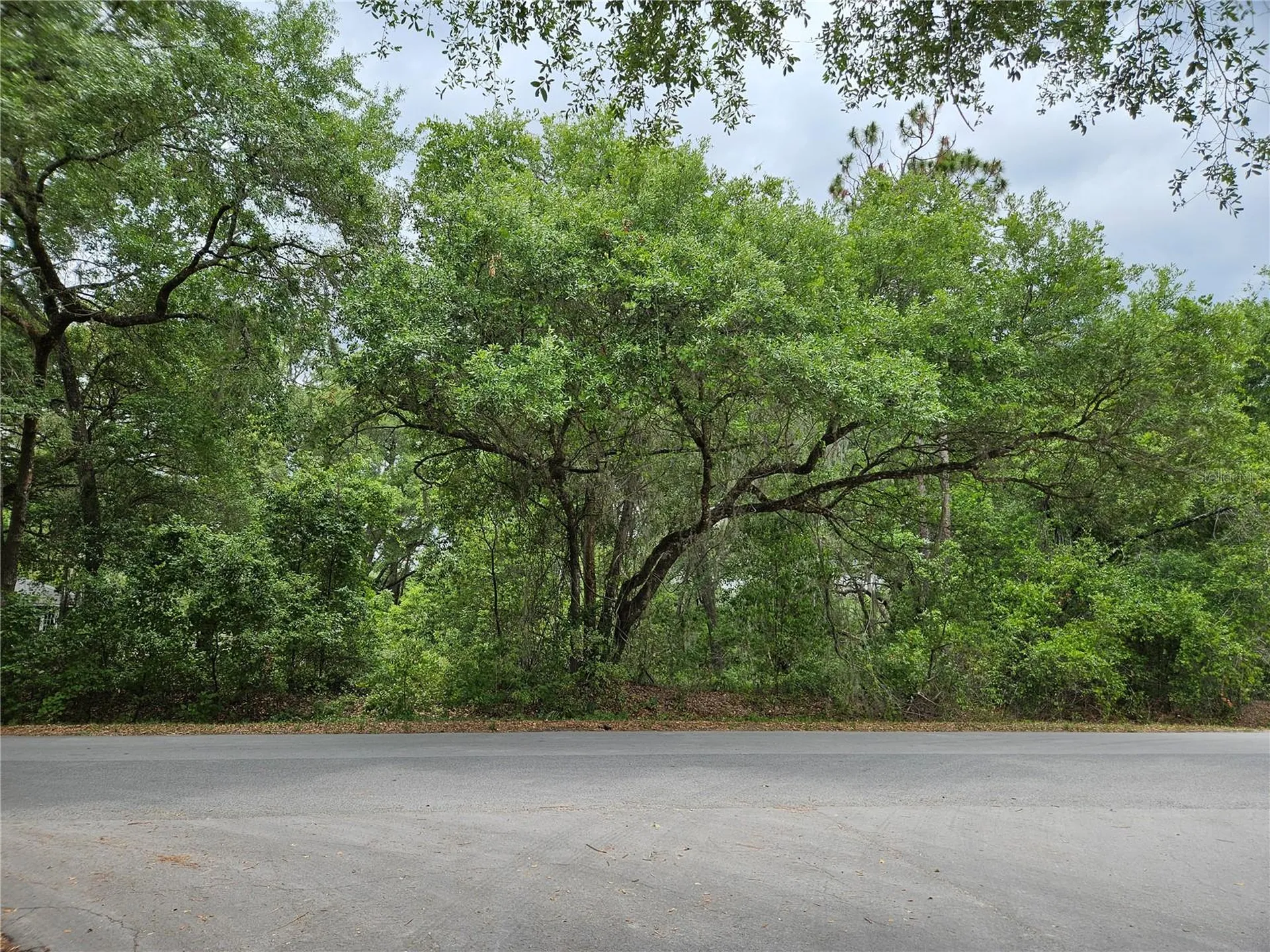 Lot 14 Locust Run Course Ocala FL 34472