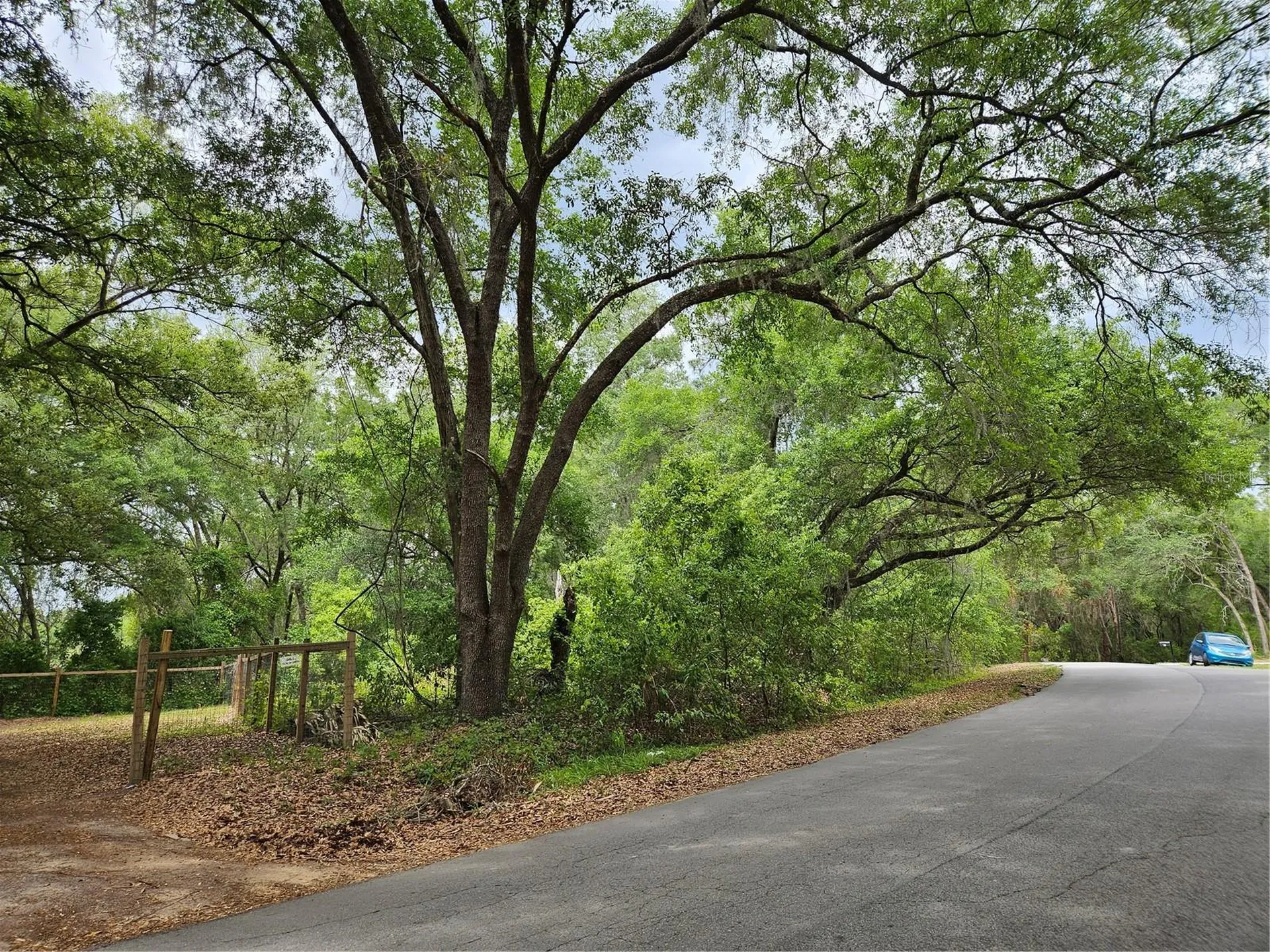 Lot 14 Locust Run Course Ocala FL 34472