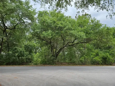 Lot 14 Locust Run Course Ocala FL 34472