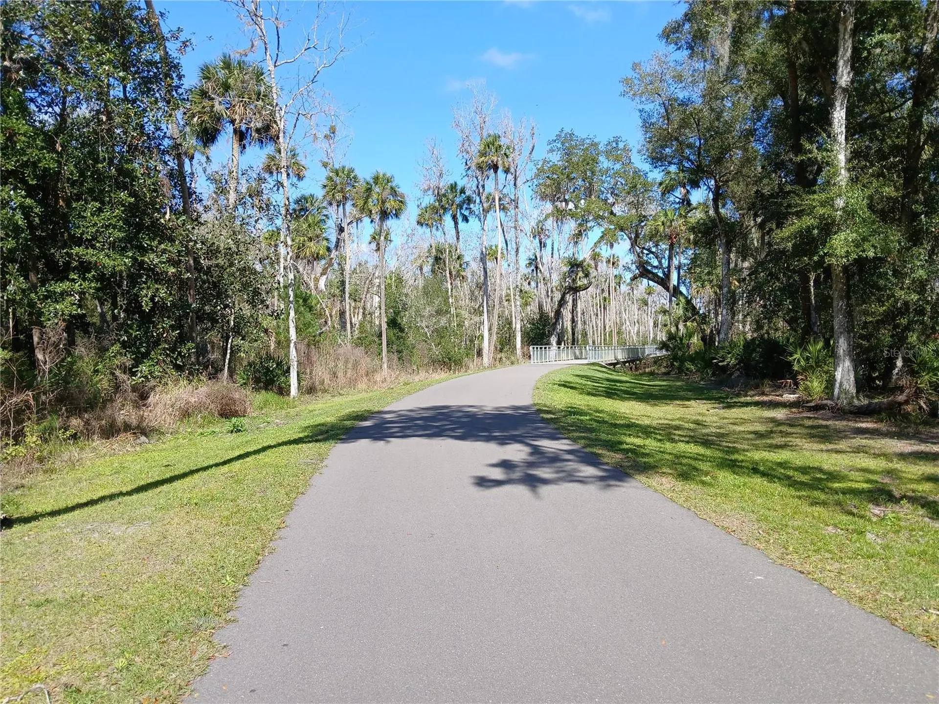 123 Arena Lake Drive Palm Coast FL 32137
