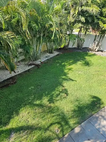 3401 Manatee Drive SE St Petersburg FL 33705