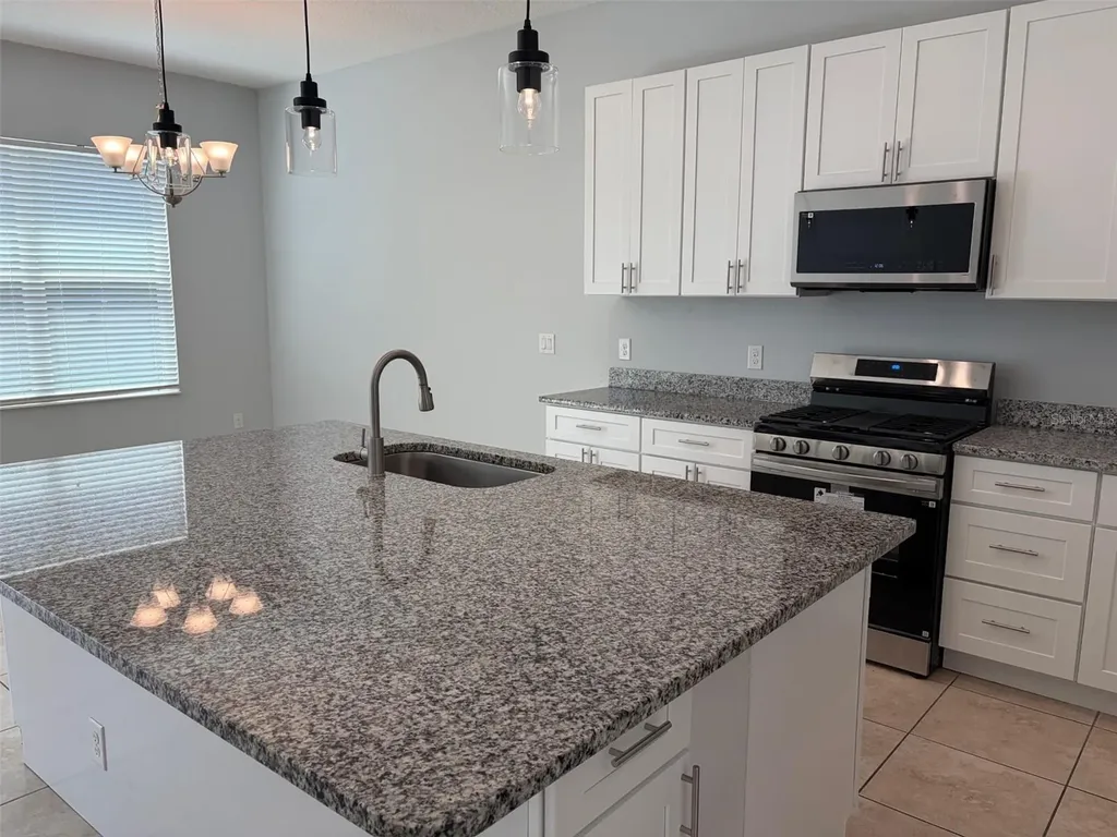 1066 Alder Tree Drive Apopka FL 32703