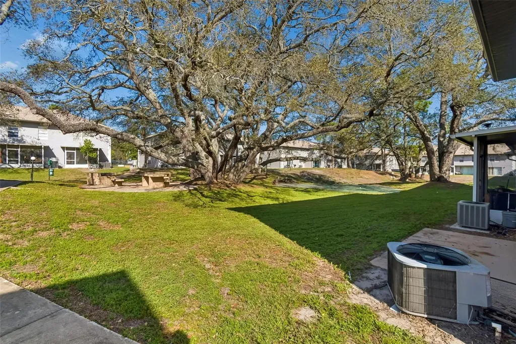 5182 Sunridge Palms Drive Tampa FL 33617