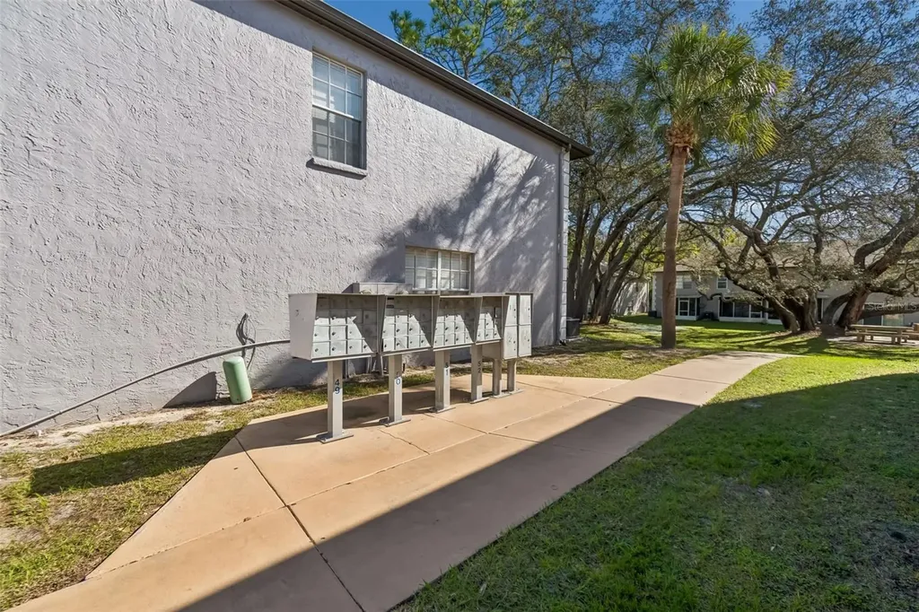 5182 Sunridge Palms Drive Tampa FL 33617