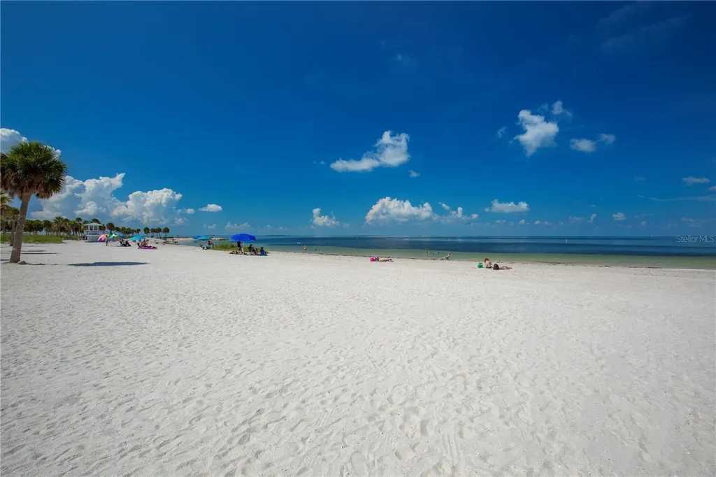 1640 Countrywood Street Tarpon Springs FL 34689