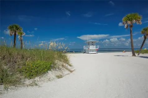 1640 Countrywood Street Tarpon Springs FL 34689