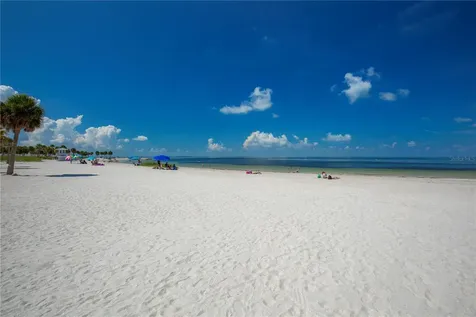 1640 Countrywood Street Tarpon Springs FL 34689