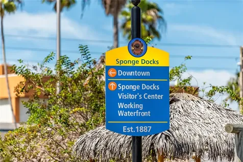 1640 Countrywood Street Tarpon Springs FL 34689