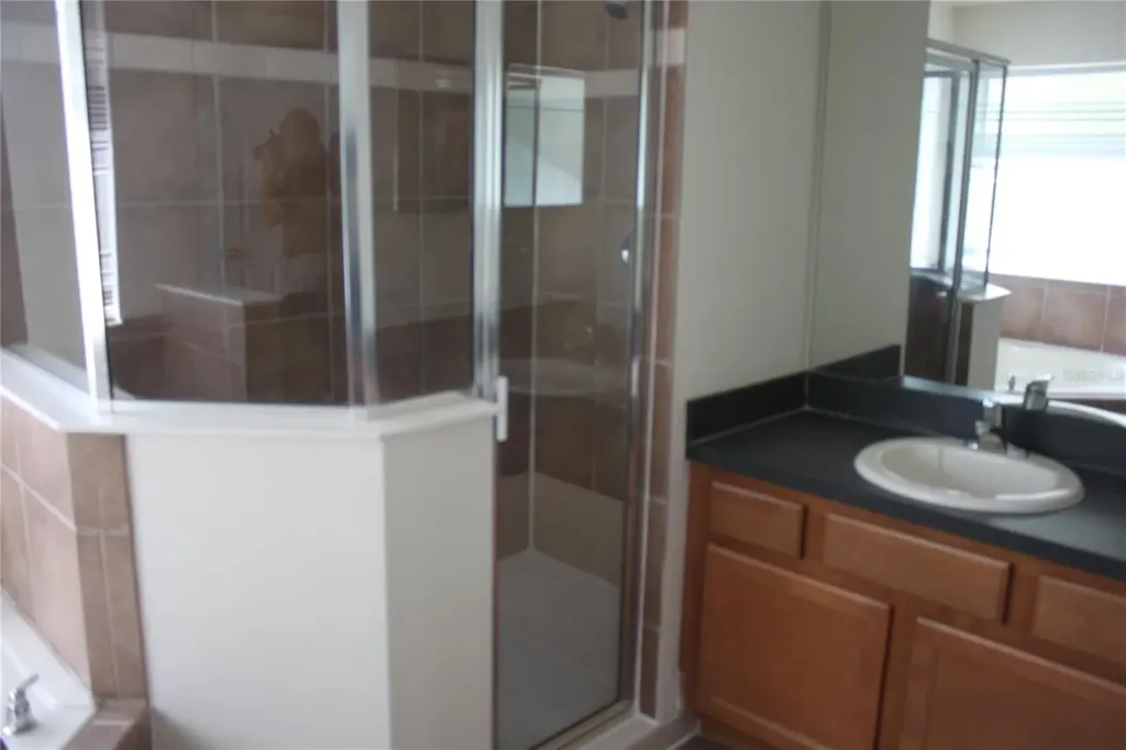 4542 Blue Major Drive Windermere FL 34786