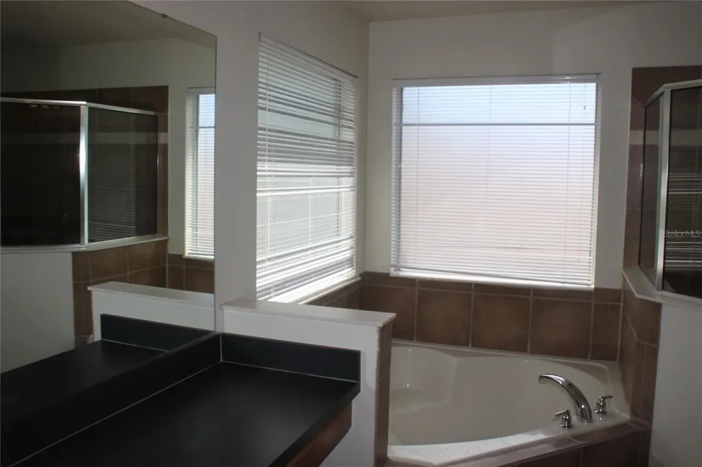 4542 Blue Major Drive Windermere FL 34786