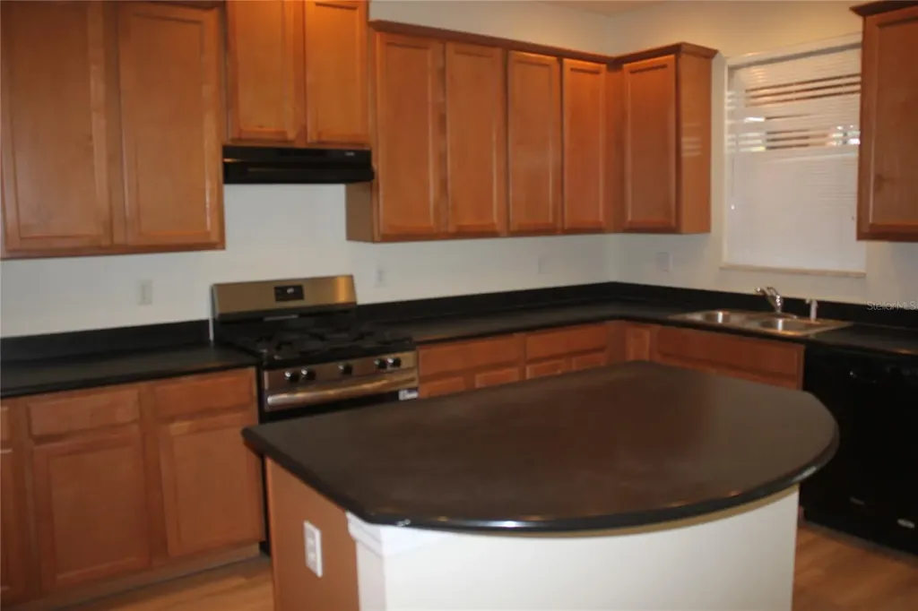 4542 Blue Major Drive Windermere FL 34786