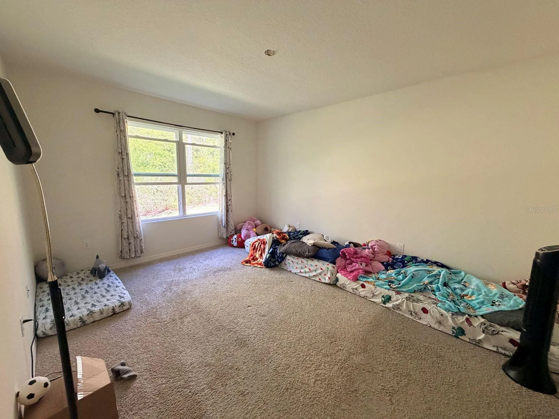 507 Lady Irelyn Court Deland FL 32724