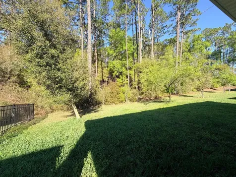 507 Lady Irelyn Court Deland FL 32724